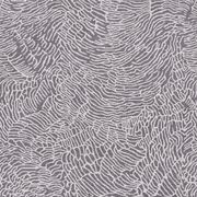 Windsor gallery detail image