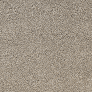 Taroom gallery detail image