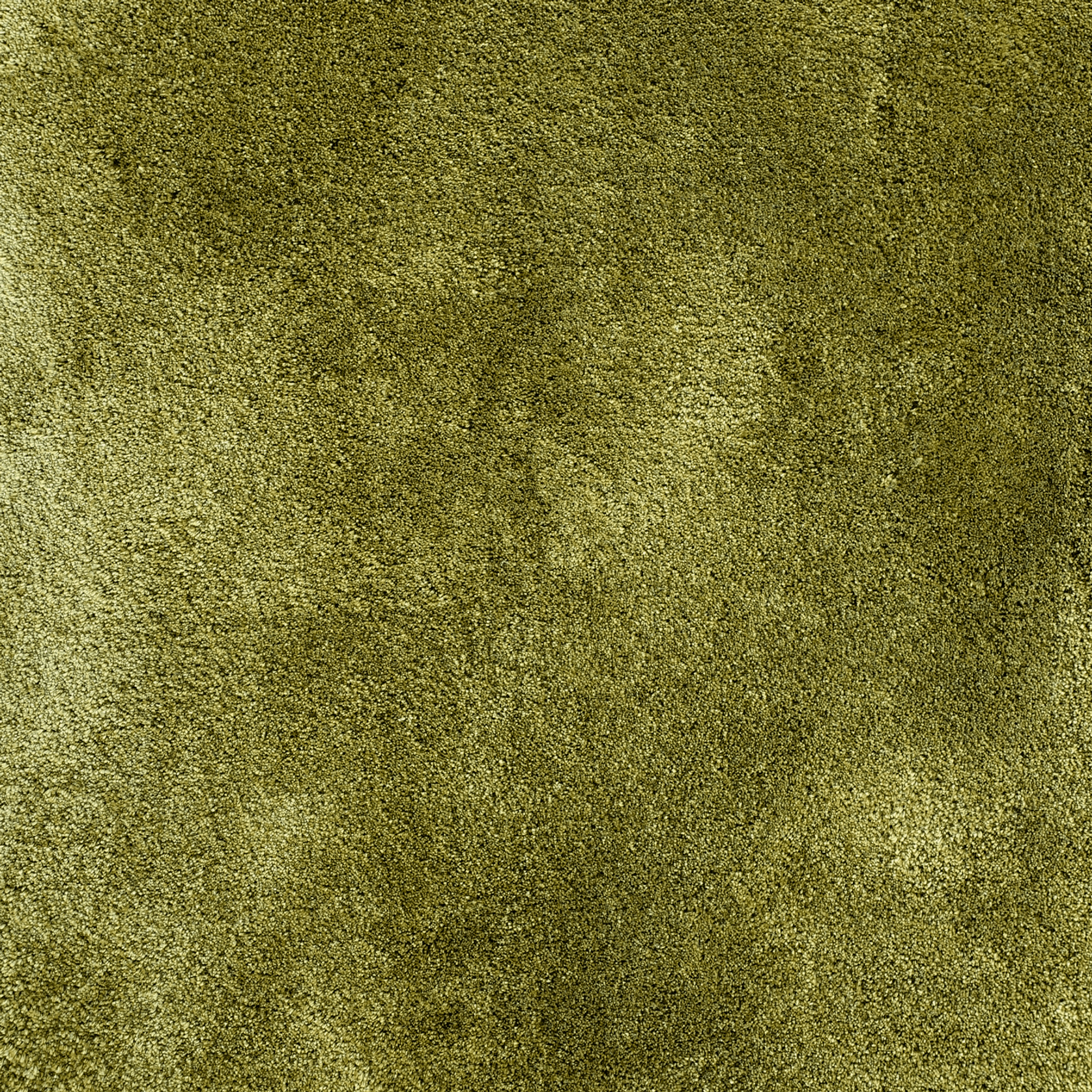 Forme gallery detail image