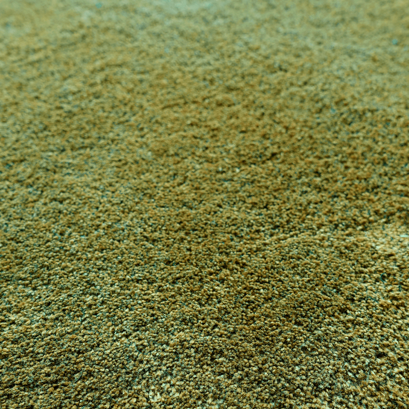 Tapis Absolute gallery detail image