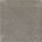 Jaspur gallery detail image