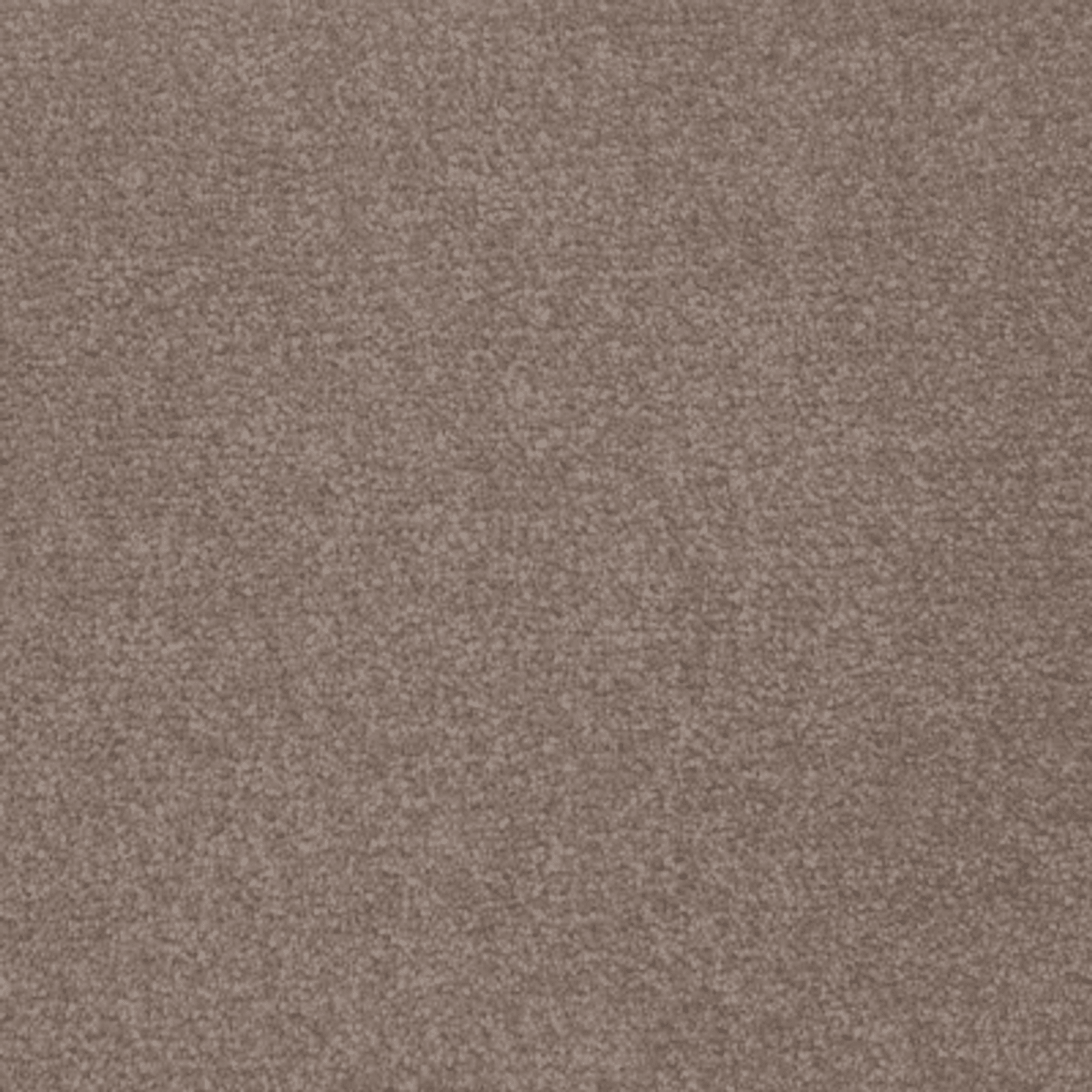 Divino gallery detail image