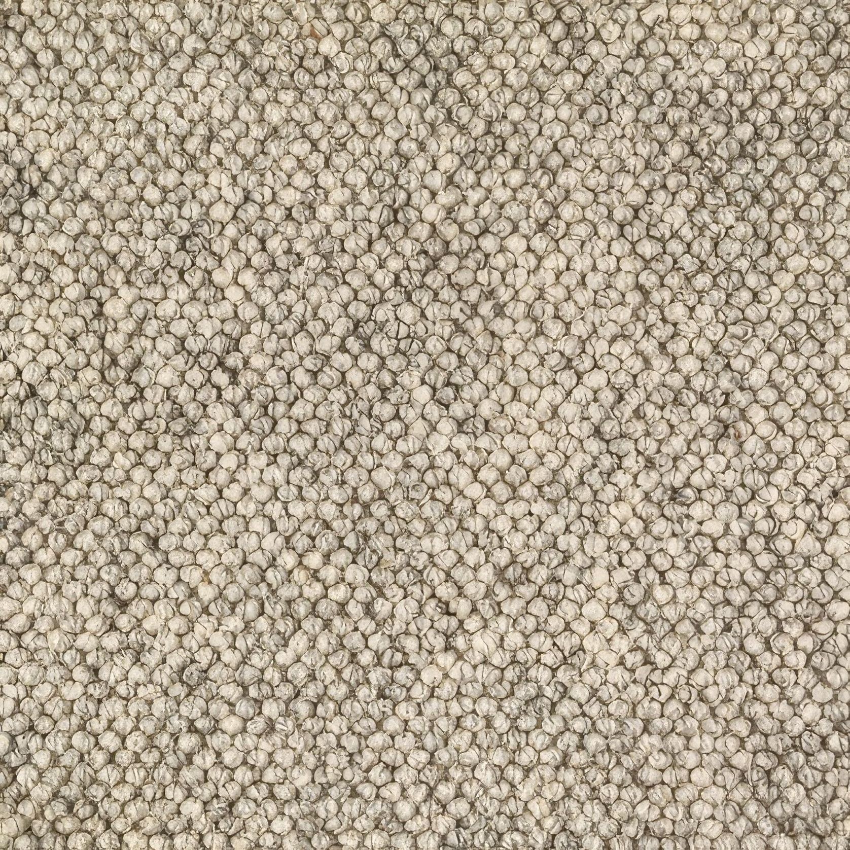 Lhasa | Premium Wool gallery detail image
