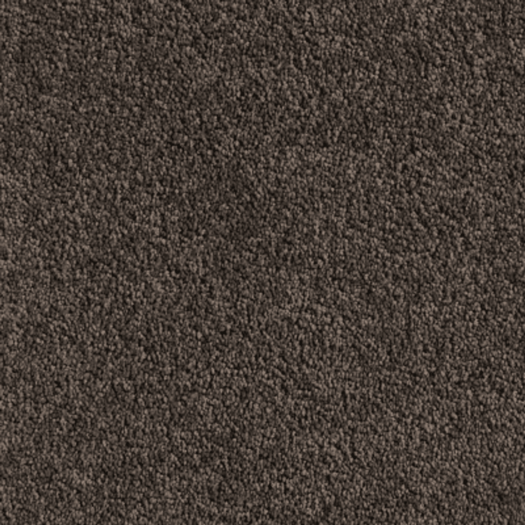 Saratoga gallery detail image