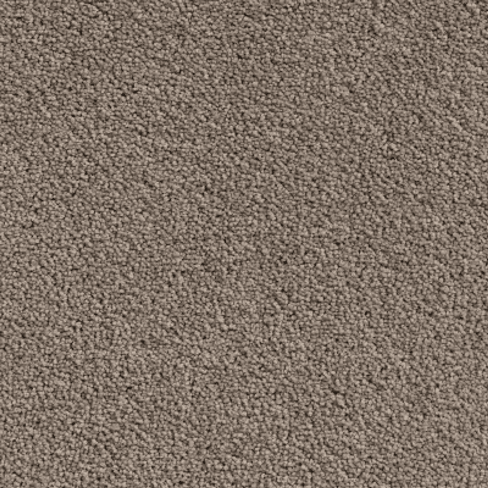 Saratoga gallery detail image