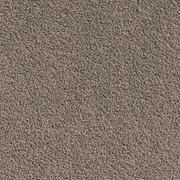 Saratoga gallery detail image