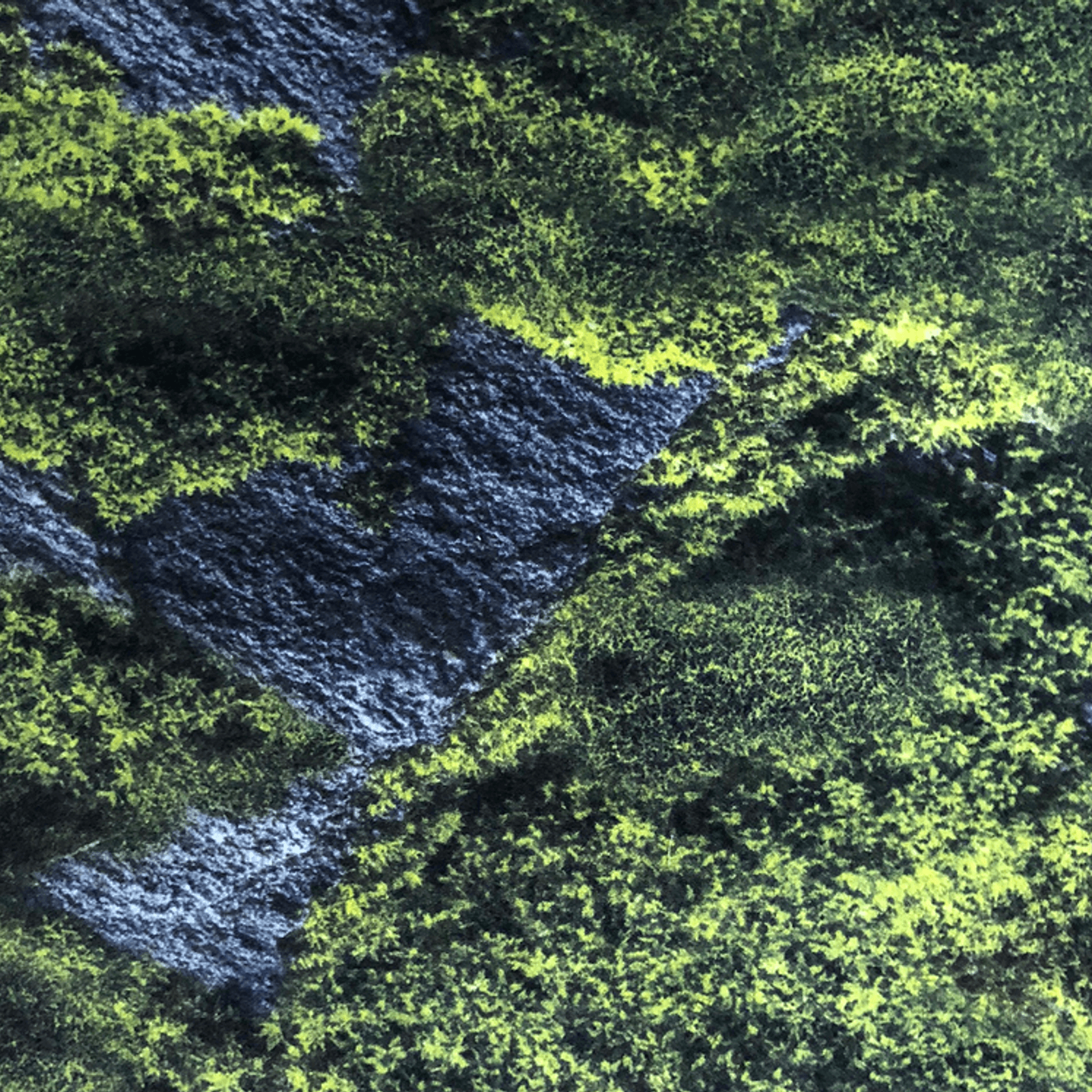 IKON gallery detail image