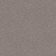 Night Shadows gallery detail image