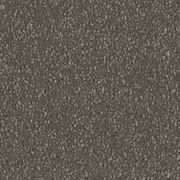 Night Shadows gallery detail image