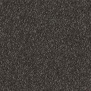 Night Shadows gallery detail image