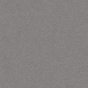 Night Shadows gallery detail image