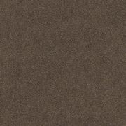 Saratoga gallery detail image