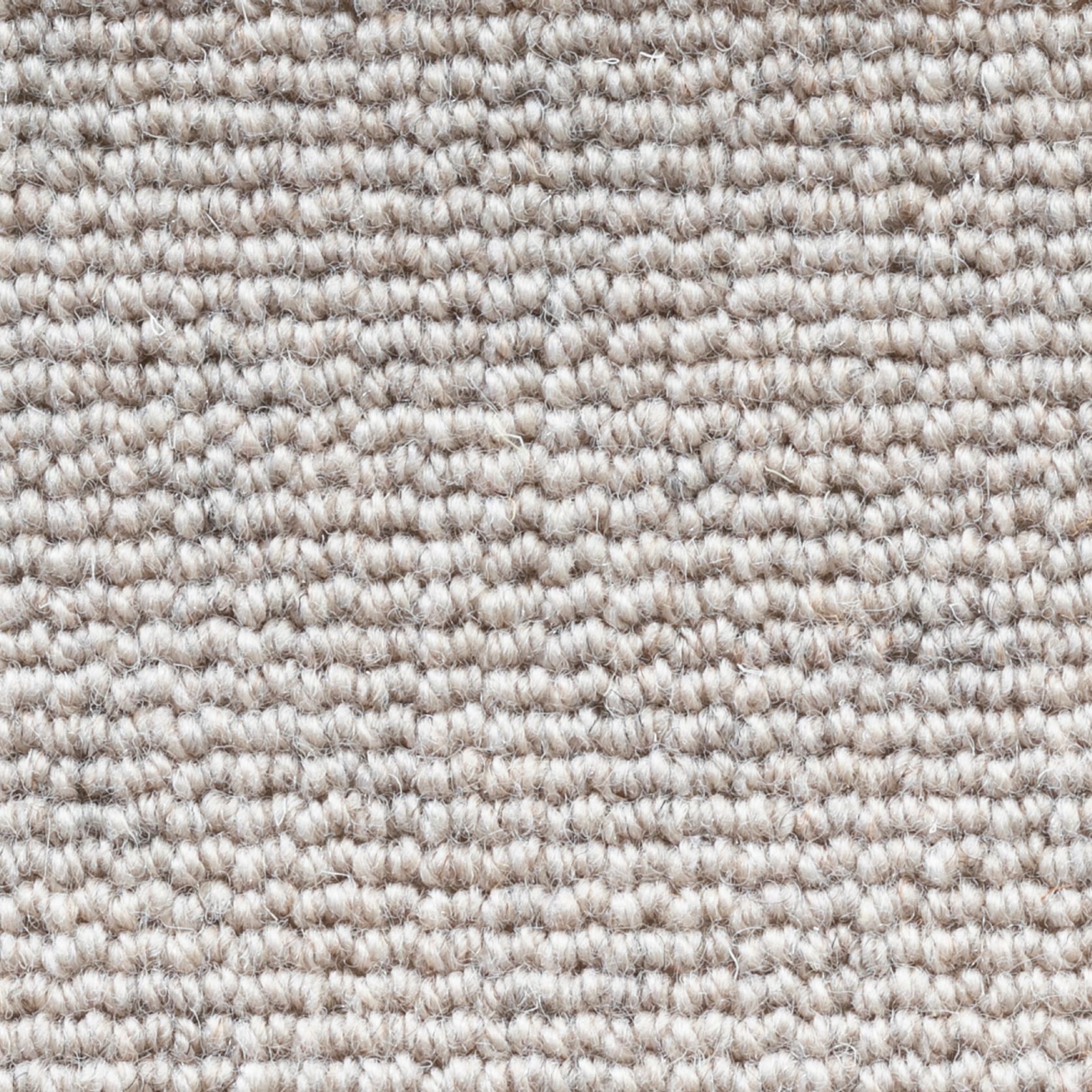 Terra gallery detail image