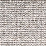 Terra gallery detail image