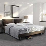 Terra gallery detail image