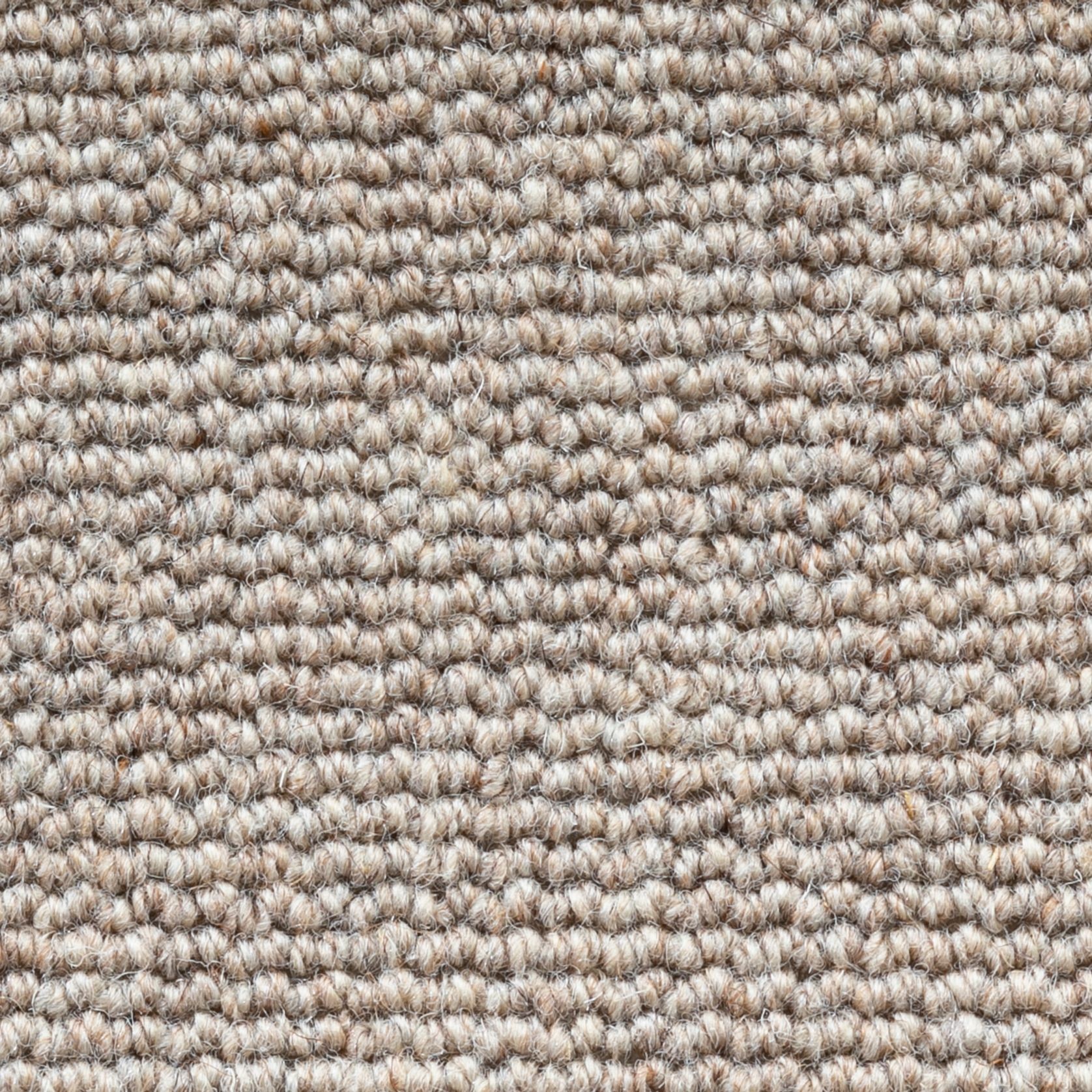 Terra gallery detail image