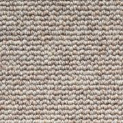 Terra gallery detail image