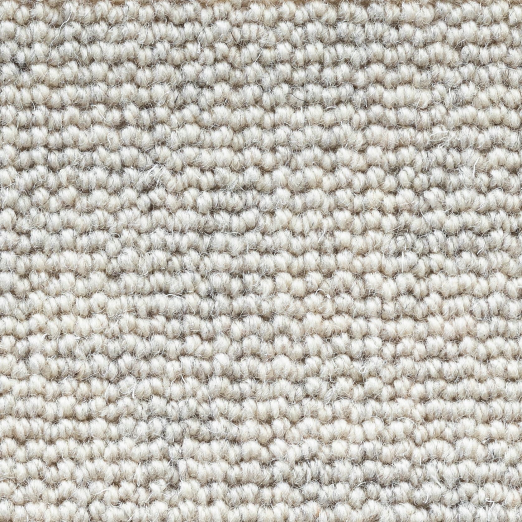 Terra gallery detail image