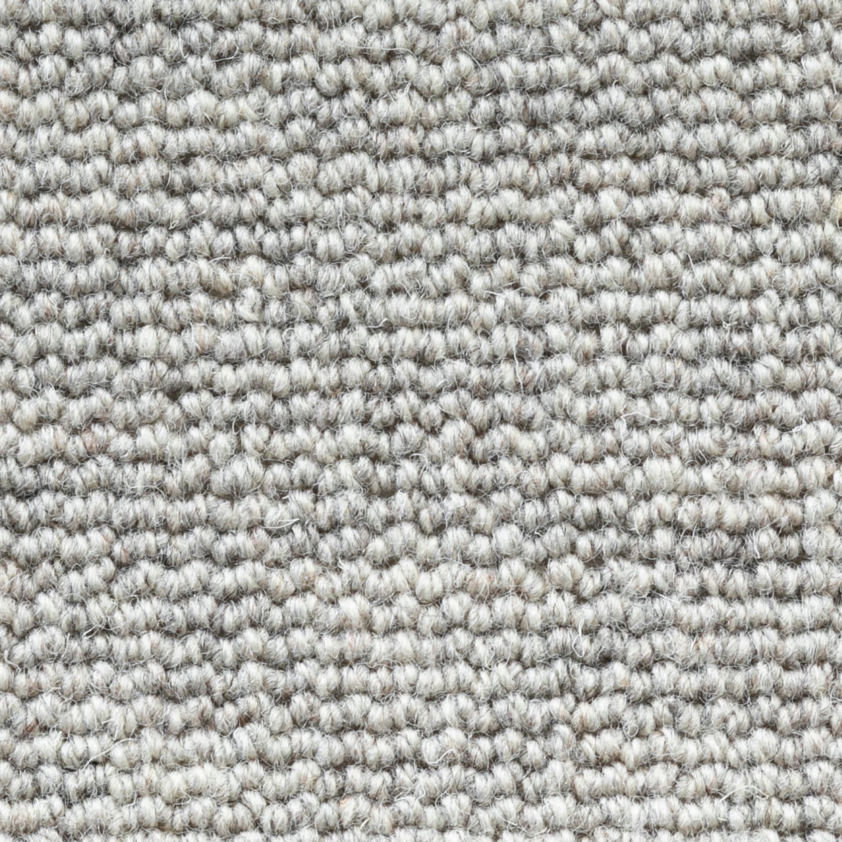 Terra gallery detail image