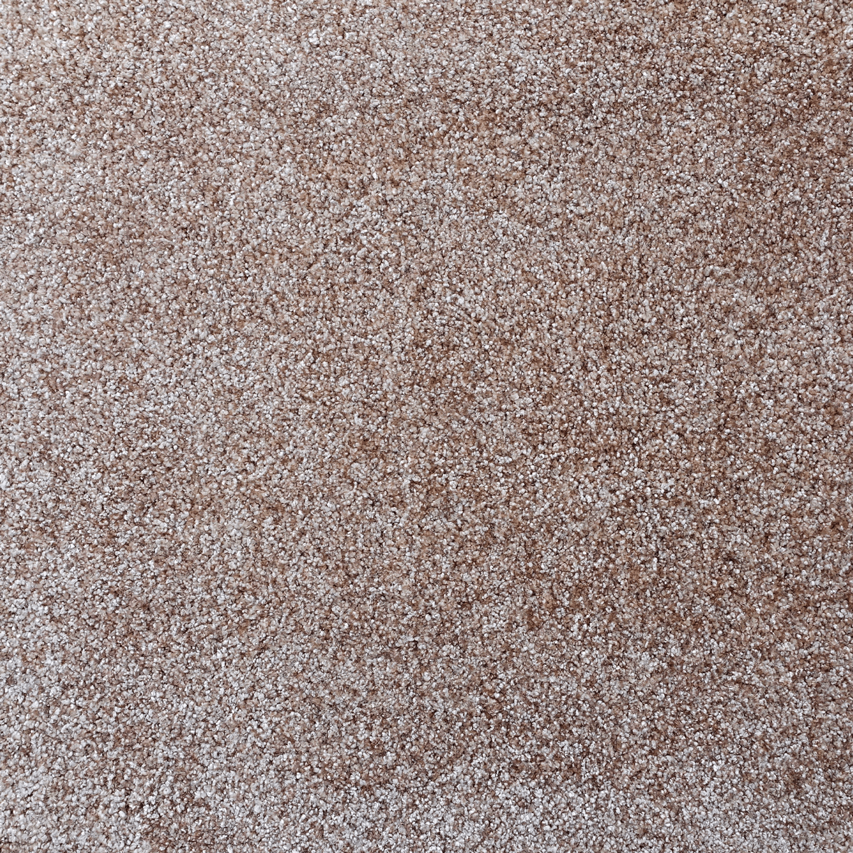 Tapis Absolute gallery detail image