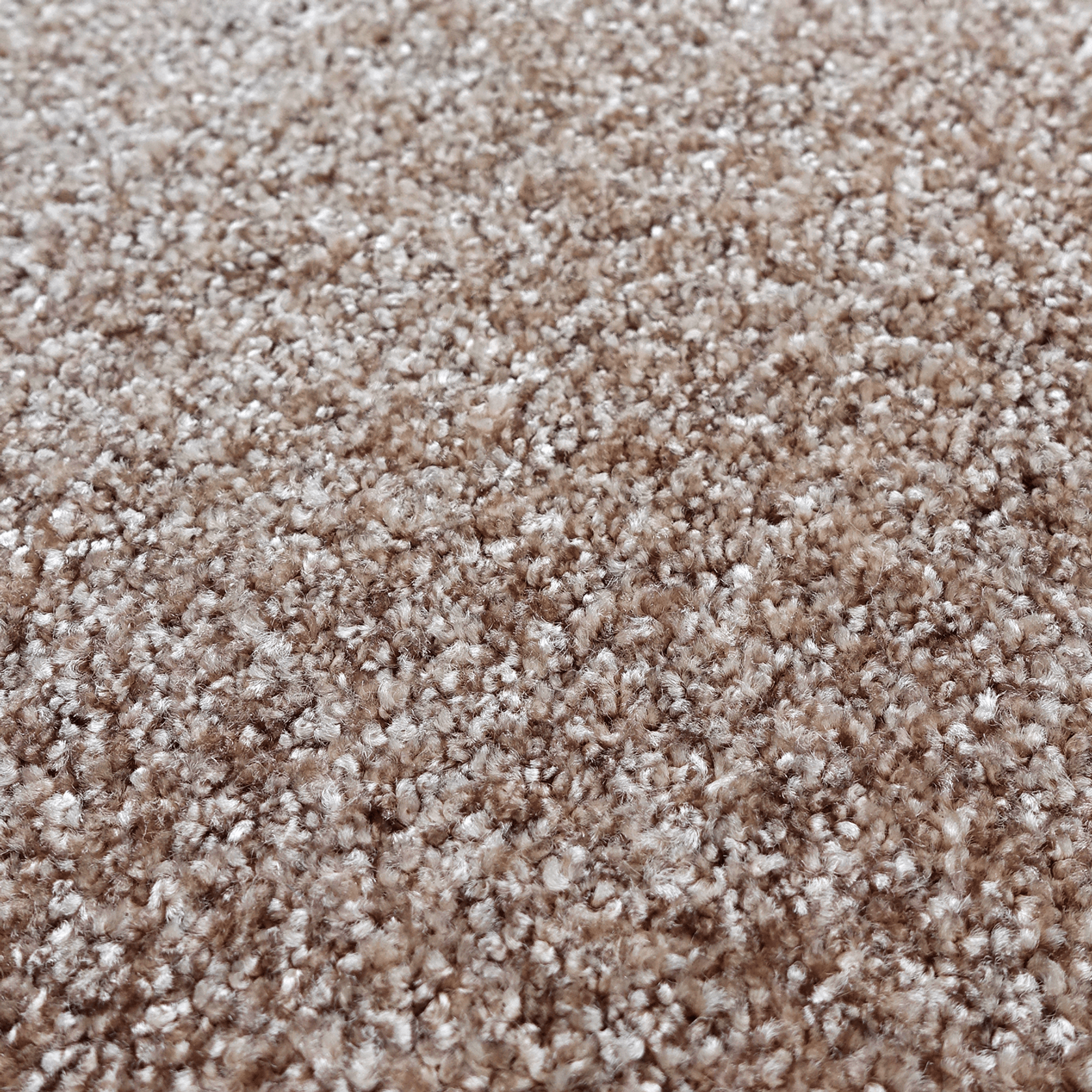 Tapis Absolute gallery detail image