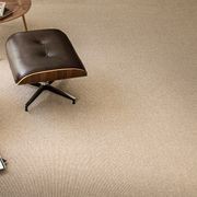 Terra gallery detail image