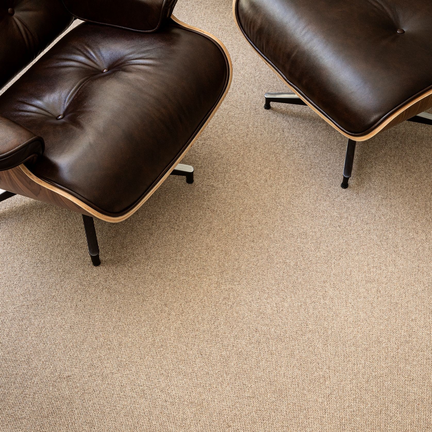 Terra gallery detail image