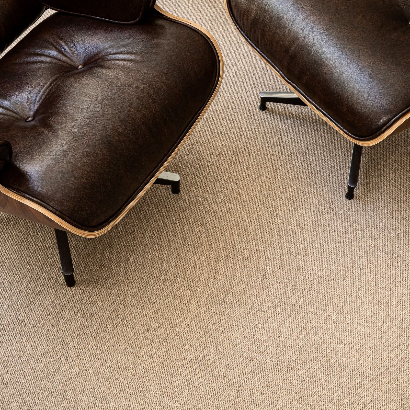 Terra gallery detail image