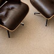 Terra gallery detail image