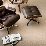 Terra gallery detail image