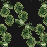 Axminster Artistan gallery detail image