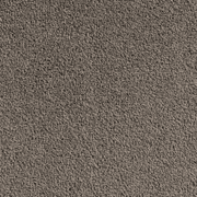 Saratoga gallery detail image