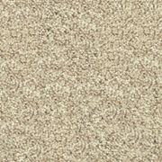 Forest Grove by Belgotex | Carpet gallery detail image