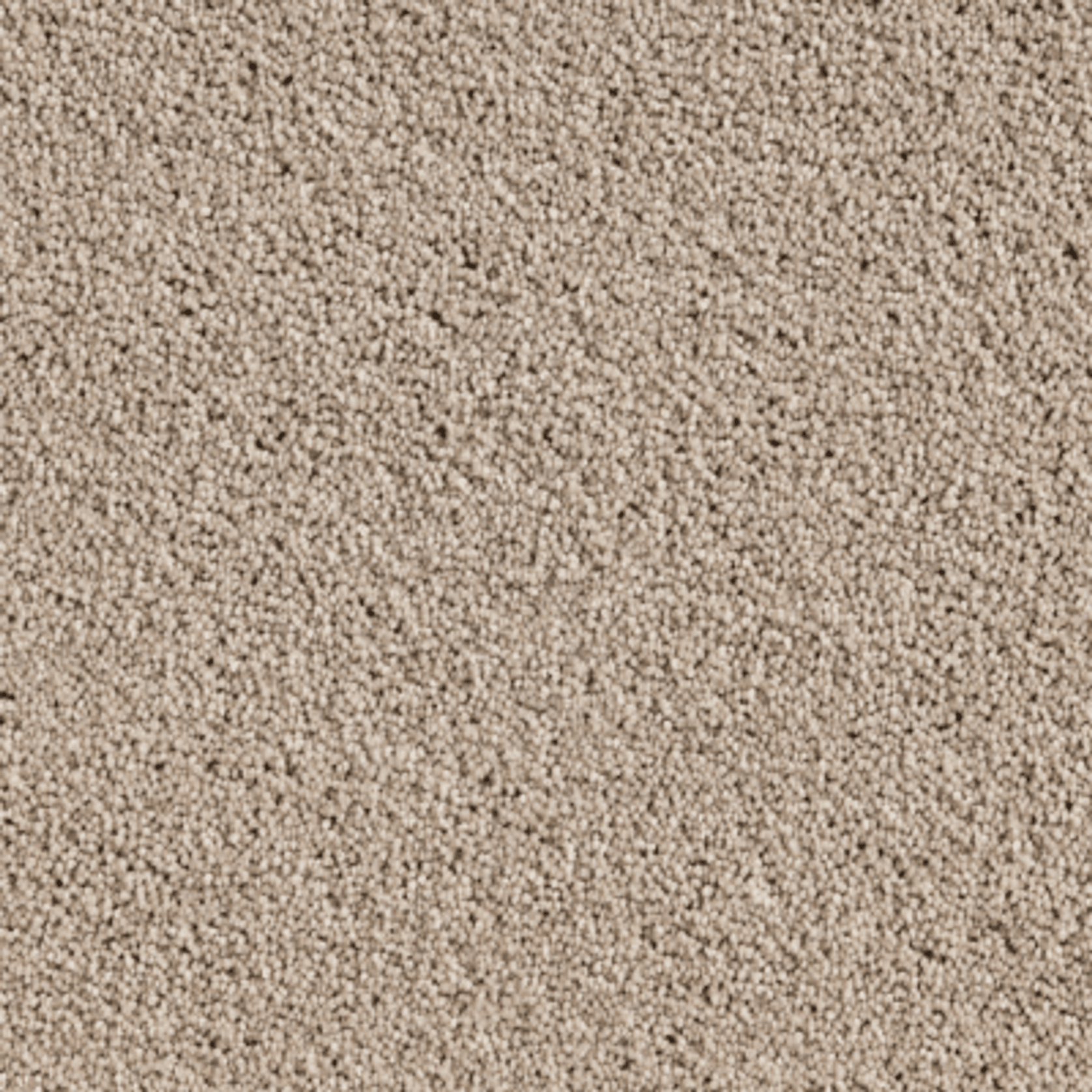 Ecuador gallery detail image