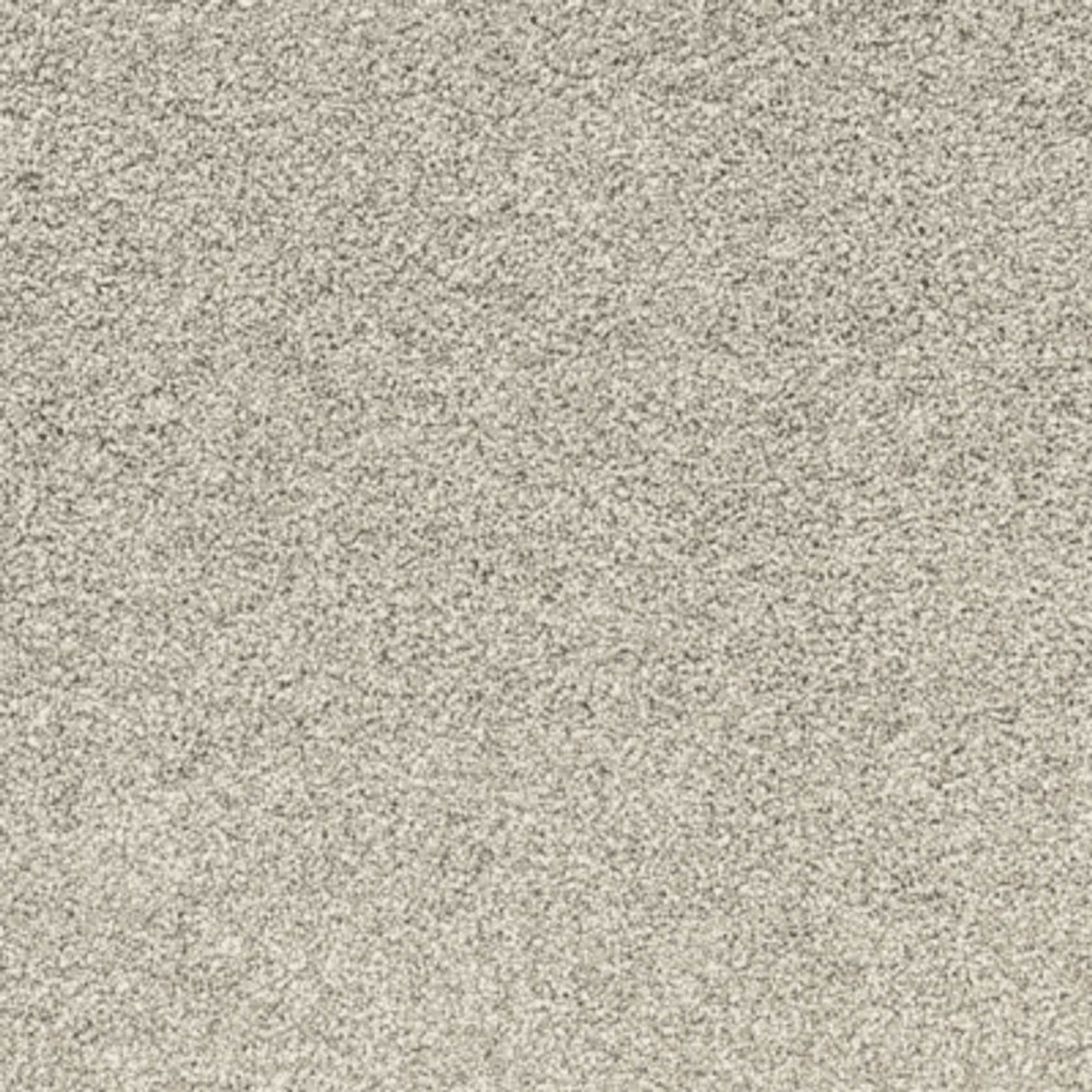 Taroom gallery detail image