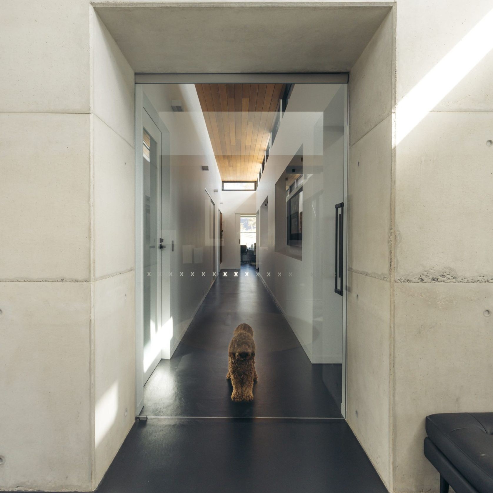 Frameless Glass Cavity Sliding Doors gallery detail image