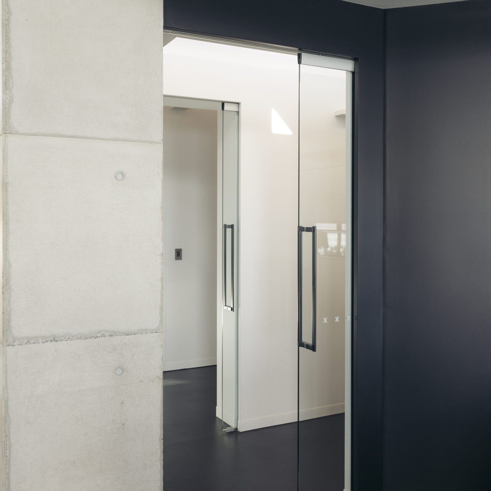 Frameless Glass Cavity Sliding Doors gallery detail image