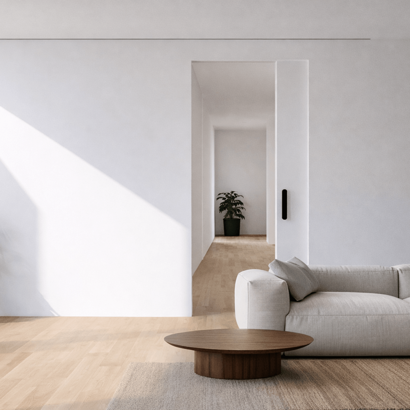 Atlas Cavity Sliding Door gallery detail image