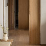 Atlas Cavity Sliding Door gallery detail image