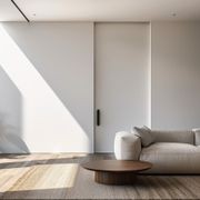 Atlas Cavity Sliding Door gallery detail image