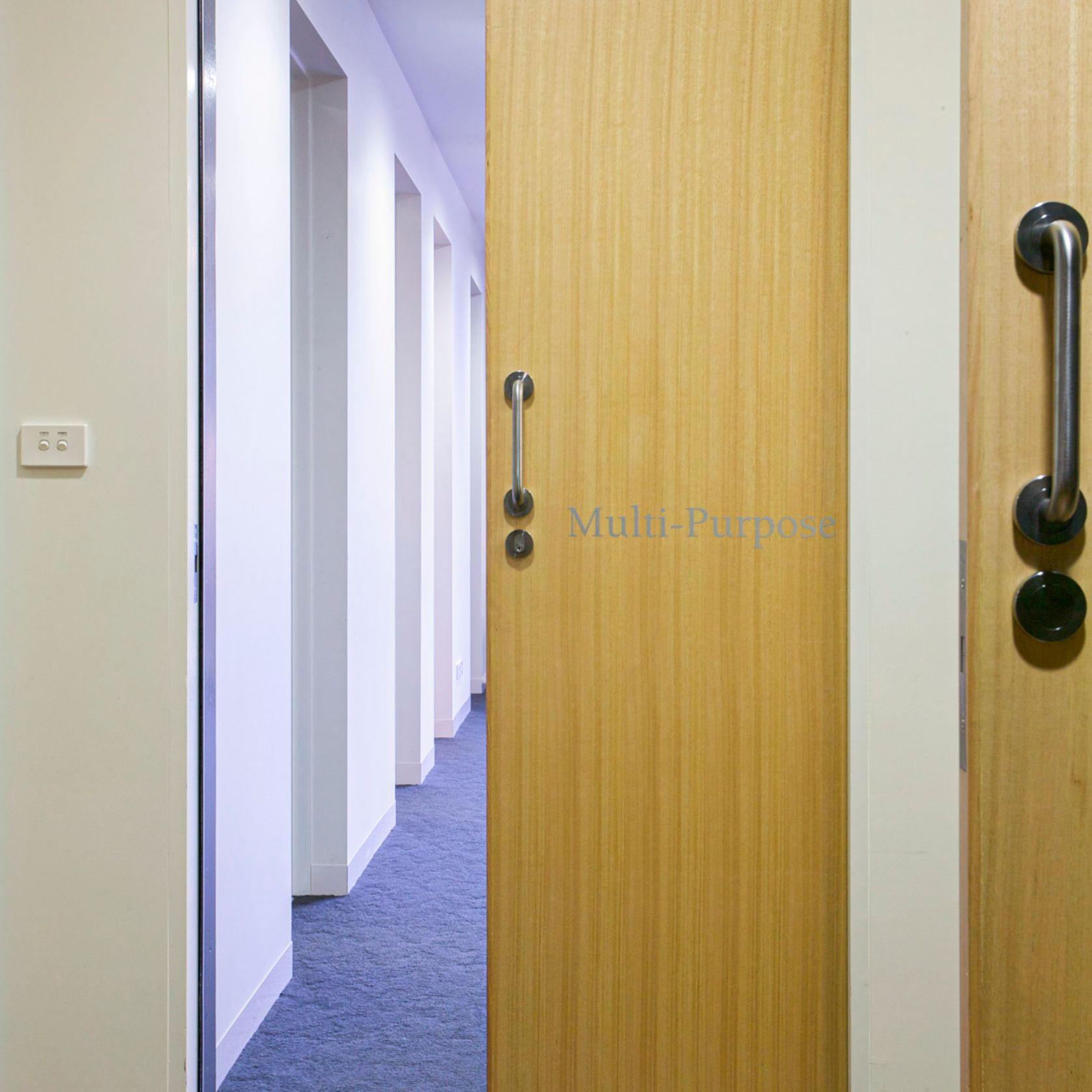 Access™ Complient Cavity Sliding Doors gallery detail image