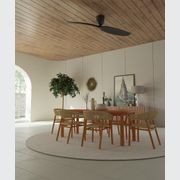 AE2+ 2-Blade Designer Indoor Ceiling Fan gallery detail image