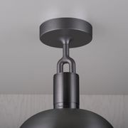 Shade Forked Globe Ceiling Light | Smoked gallery detail image