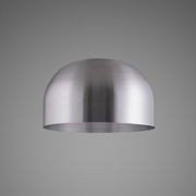 Shade Forked Globe Ceiling Light | Smoked gallery detail image