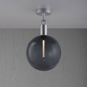 Forked Globe Ceiling Light | Smoked gallery detail image