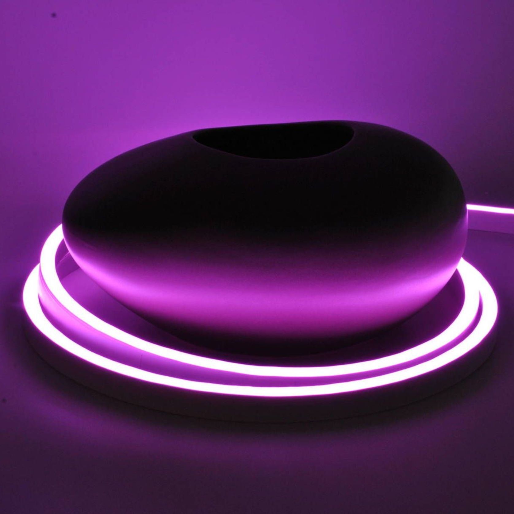 Python Snake Light gallery detail image