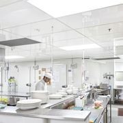 Fenta Hygiene Ceiling Tile gallery detail image