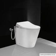 Evo Rimless Floor Mount Toilet Thick Seat gallery detail image