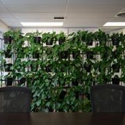 Vertical Live Plant Installations | Hire Plants gallery detail image