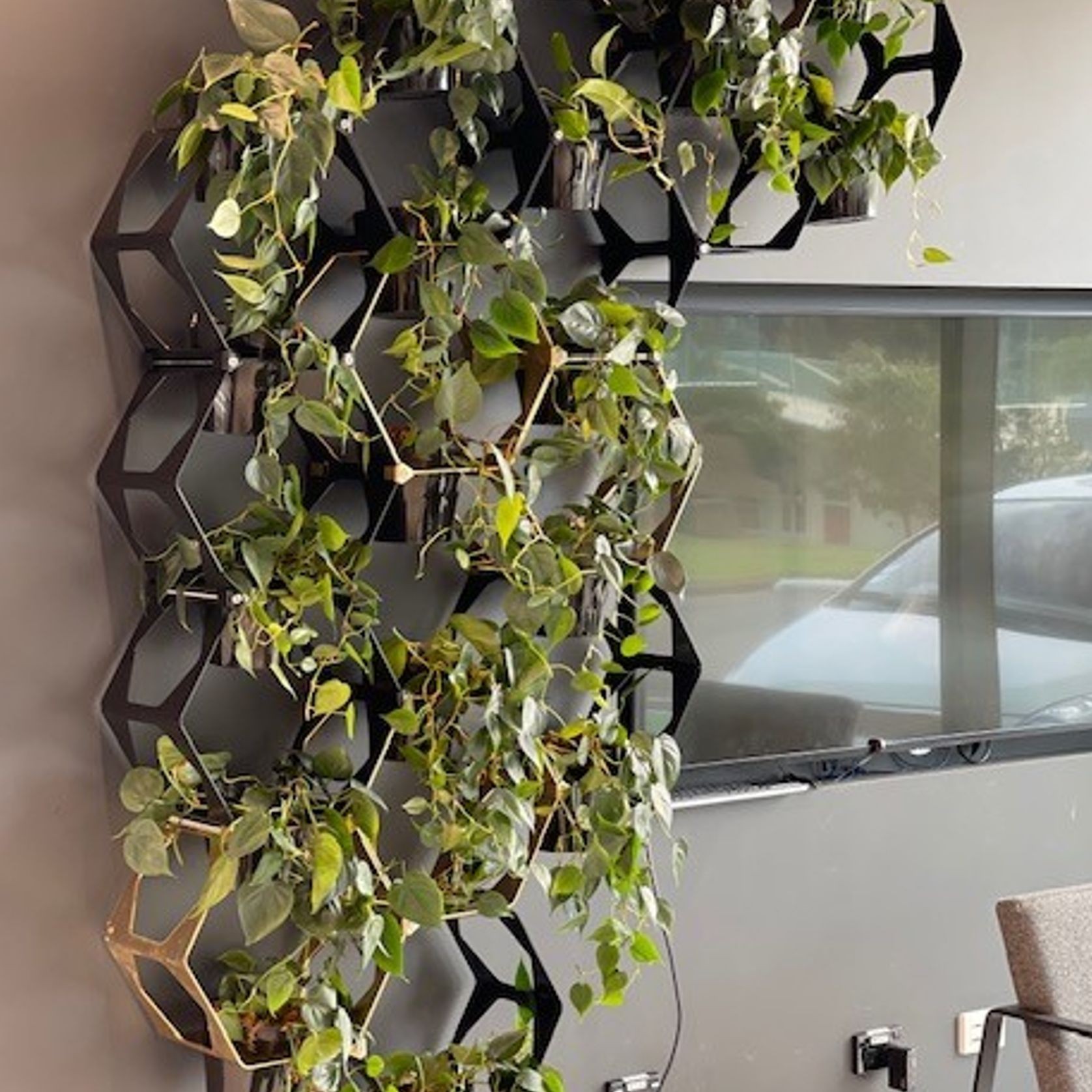 Vertical Live Plant Installations | Hire Plants gallery detail image
